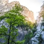 Le soleil brille à travers un canyon avec des arbres et des rochers.