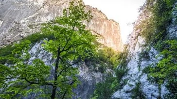 Le soleil brille à travers un canyon avec des arbres et des rochers.