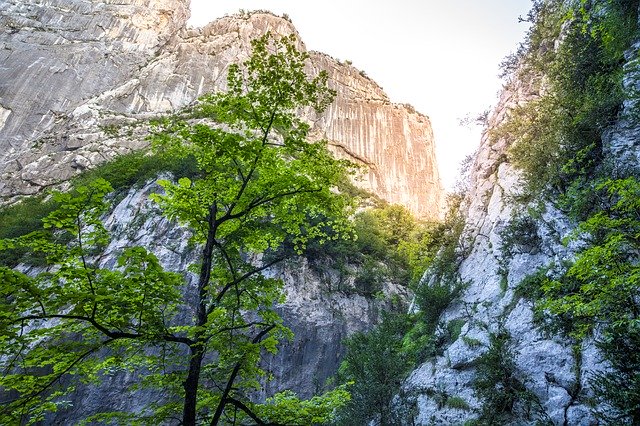 Le soleil brille à travers un canyon avec des arbres et des rochers.