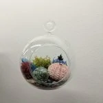 Une boule de verre avec des coquillages suspendus.