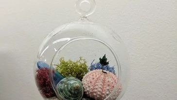 Une boule de verre avec des coquillages suspendus.