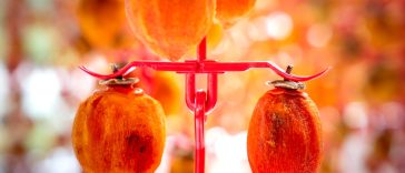 cultiver un engagement authentique
