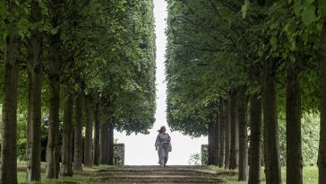 Une personne marche le long d’un chemin de vie bordé d’arbres avec de grands arbres feuillus formant une arche naturelle au-dessus.