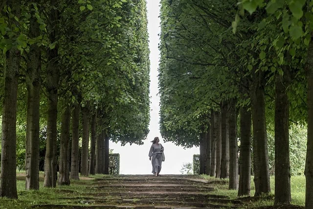 Une personne marche le long d’un chemin de vie bordé d’arbres avec de grands arbres feuillus formant une arche naturelle au-dessus.