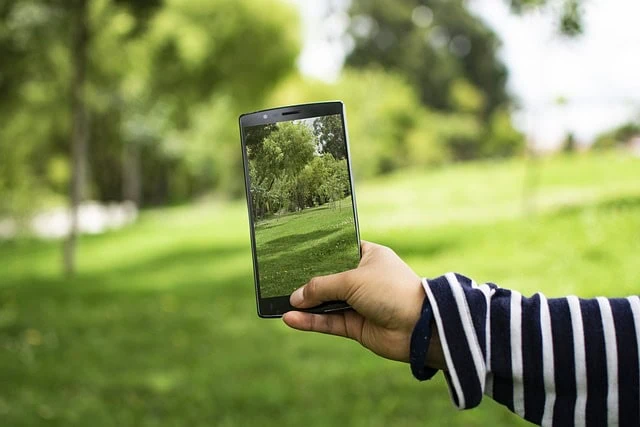 Une main tenant un smartphone affichant une photo d'un parc verdoyant, en alignant la photo avec la scène du parc en arrière-plan pour contribuer à la sensibilisation au développement durable.