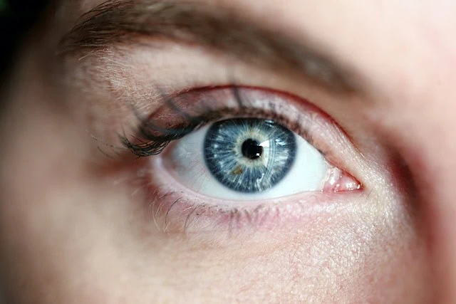 Gros plan d'un œil humain montrant un iris et des cils bleus détaillés, se concentrant intensément, rehaussés par un maquillage subtil.